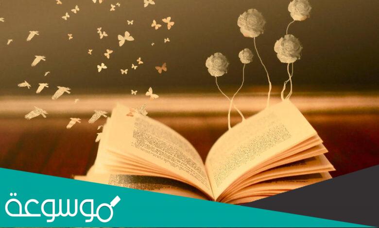 رواية عشقت مجنونة الجزء الثالث