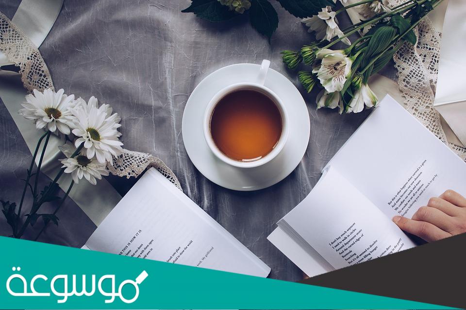 رواية نجمة احتلت عرش قلبي كاملة جميع الفصول