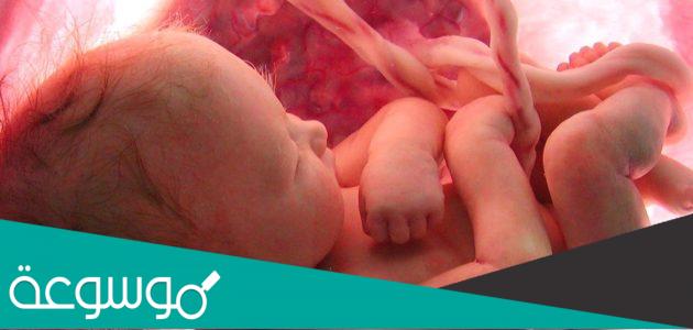 شي خلقه الله لجميع البشر ولم يخلقه لابونا آدم