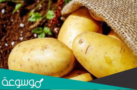 ما هي مفرد بطاطا في اللغة العربية؟