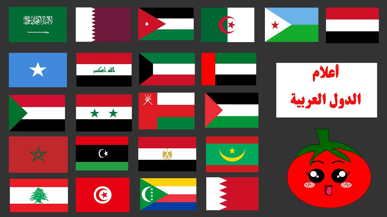 ماهي الاعلام التي لا تنكس