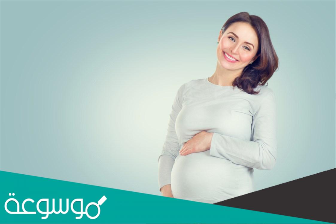 كيف تقرأ تحليل الحمل الرقمي