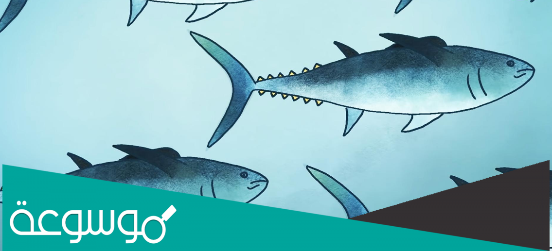 ماهو اسرع المخلوقات البحرية