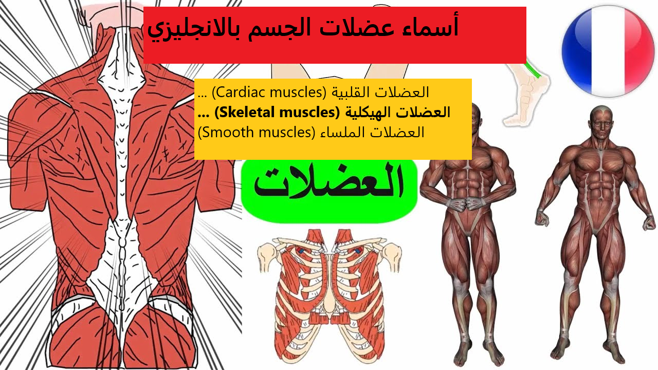 https://mjraa.net/