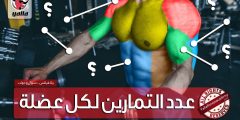 كم عدد المجموعات في التمارين لكل عضلة